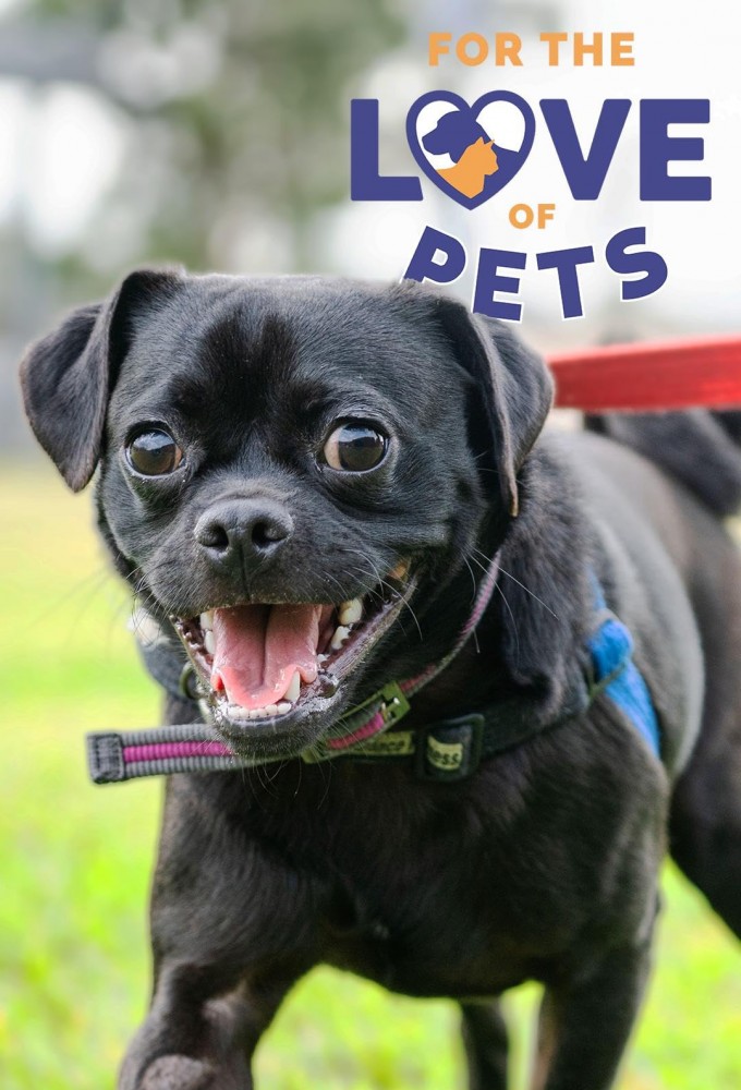 For The Love Of Pets Image