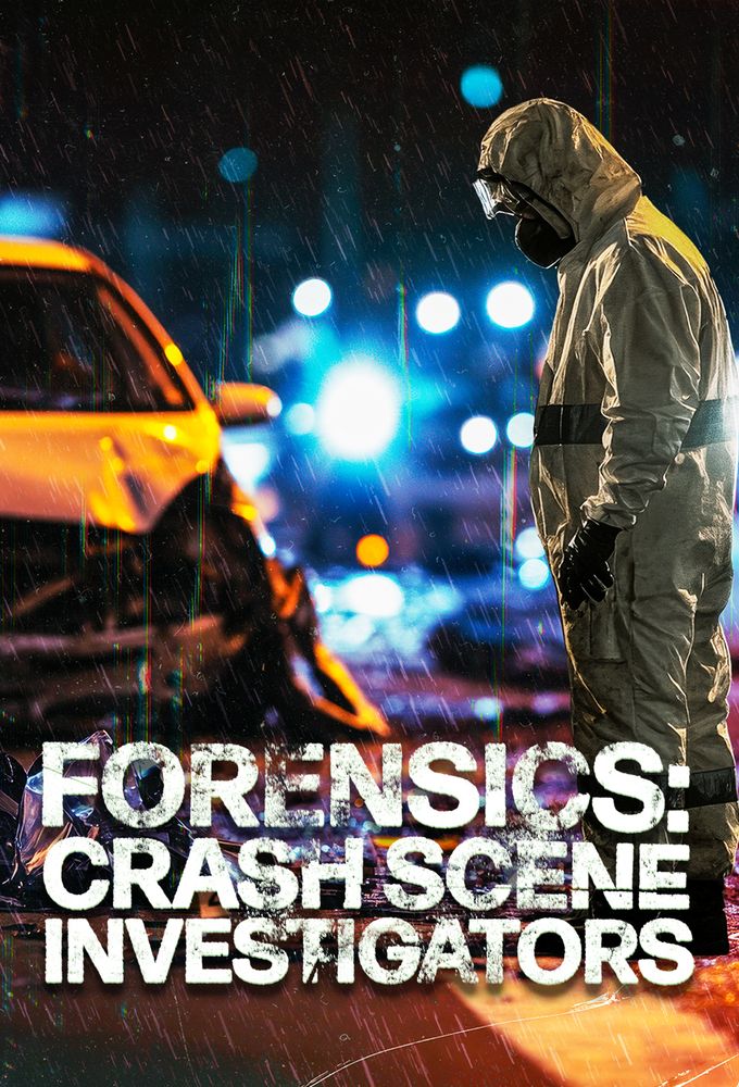 Forensics: Crash Scene Investigators Image