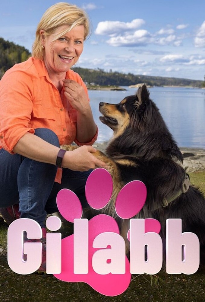 Gi labb series poster