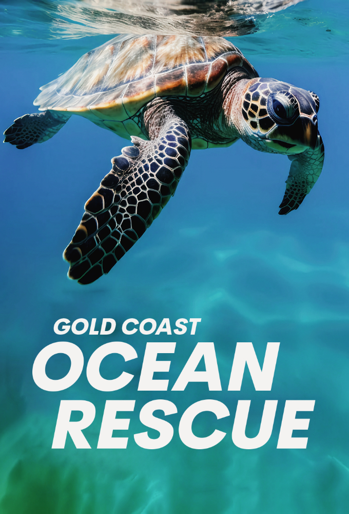 Gold Coast Ocean Rescue Image