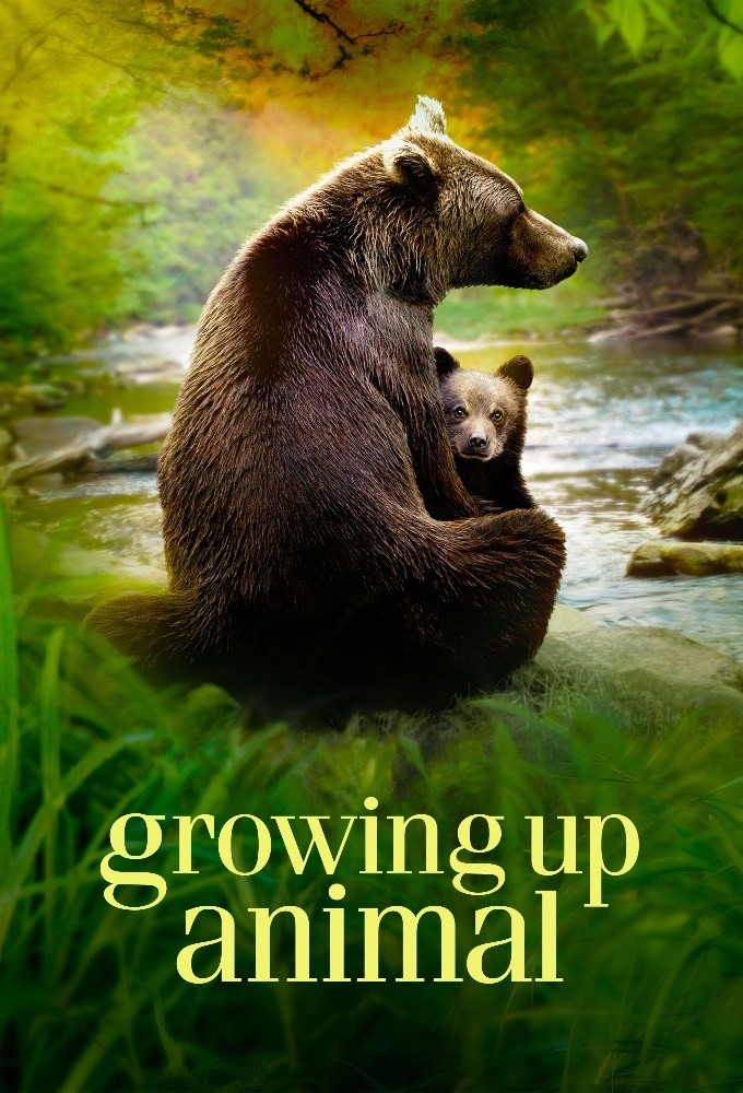 Growing Up Animal series poster