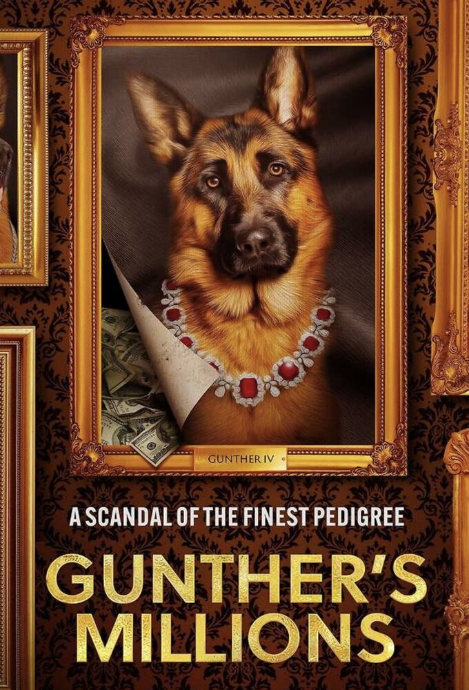 Gunther's Millions series poster