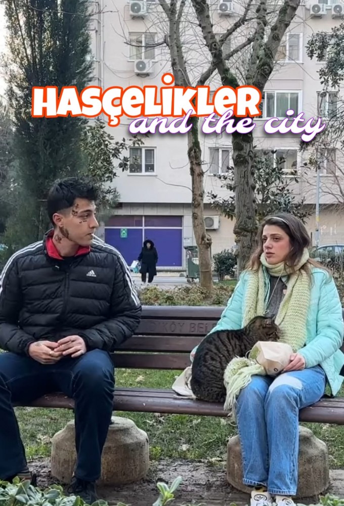 Hascelikler And the City series poster