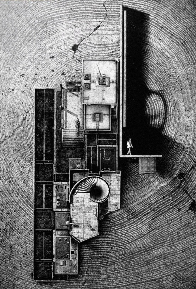 Black & White Forest Image