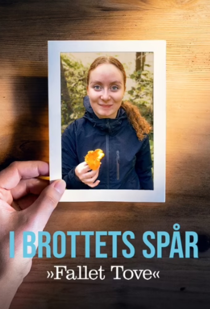 I brottets spår: Fallet Tove series poster