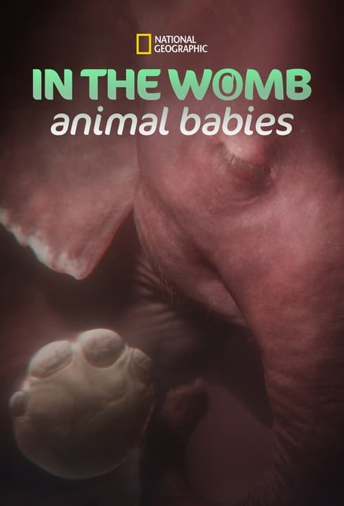 In the Womb: Animal Babies series poster
