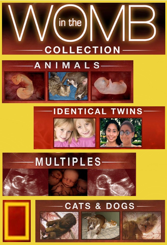 In the Womb series poster
