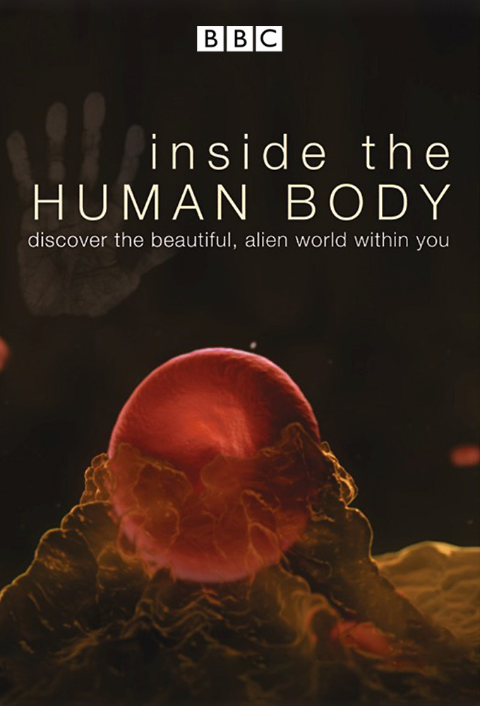 Inside the Human Body series poster