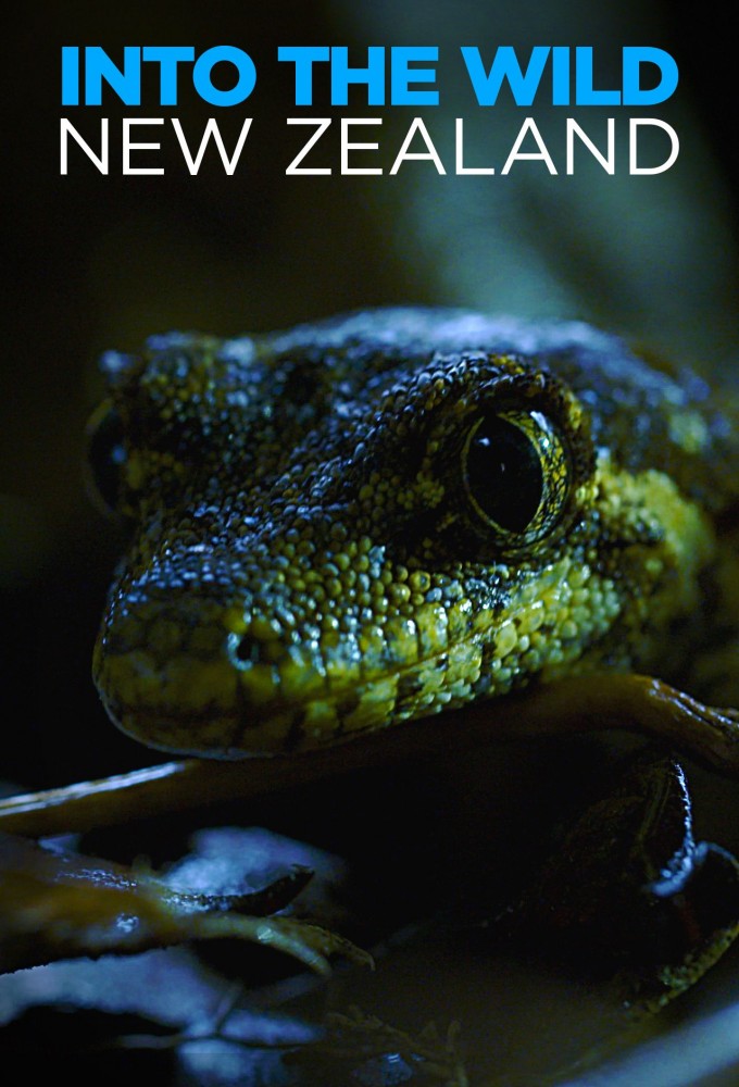 Into the Wild New Zealand series poster