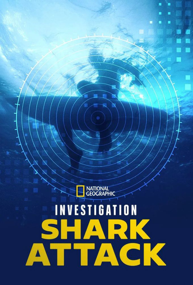 Investigation Shark Attack Image