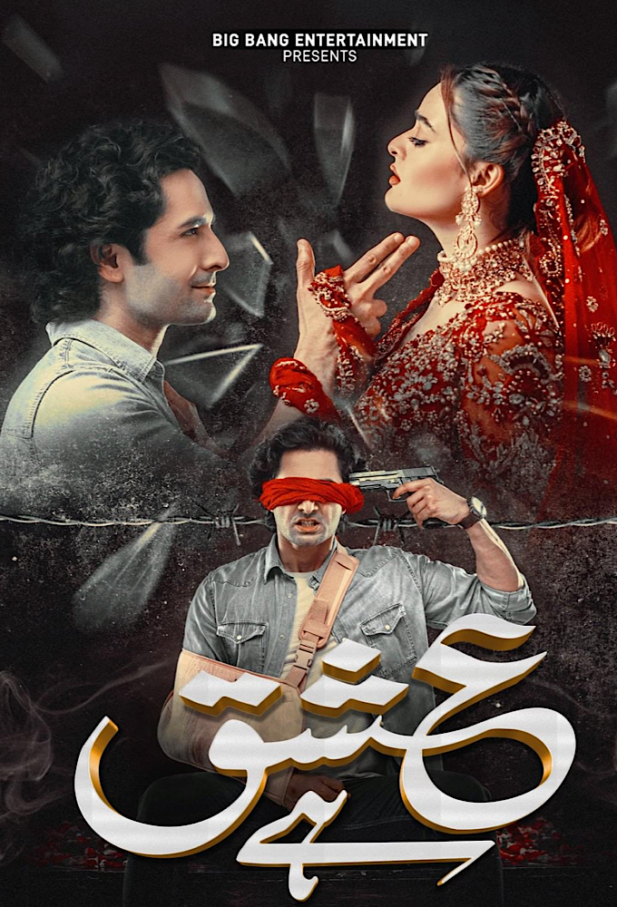 Ishq Hai series poster