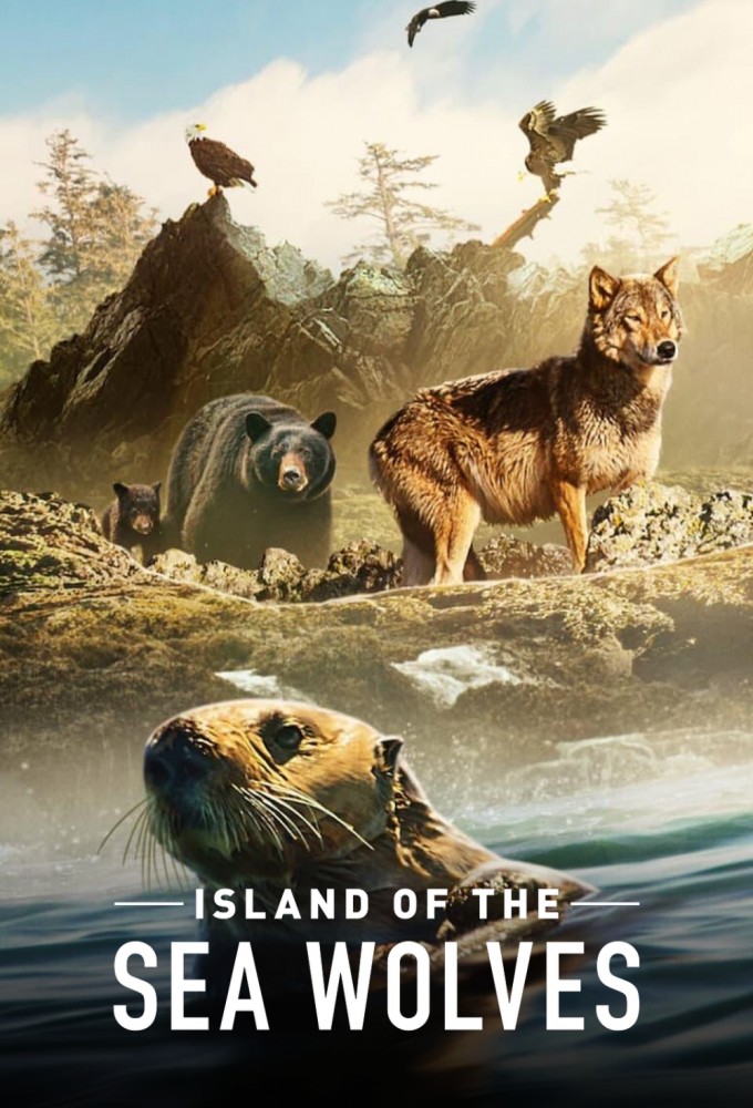 Island of the Sea Wolves   series poster