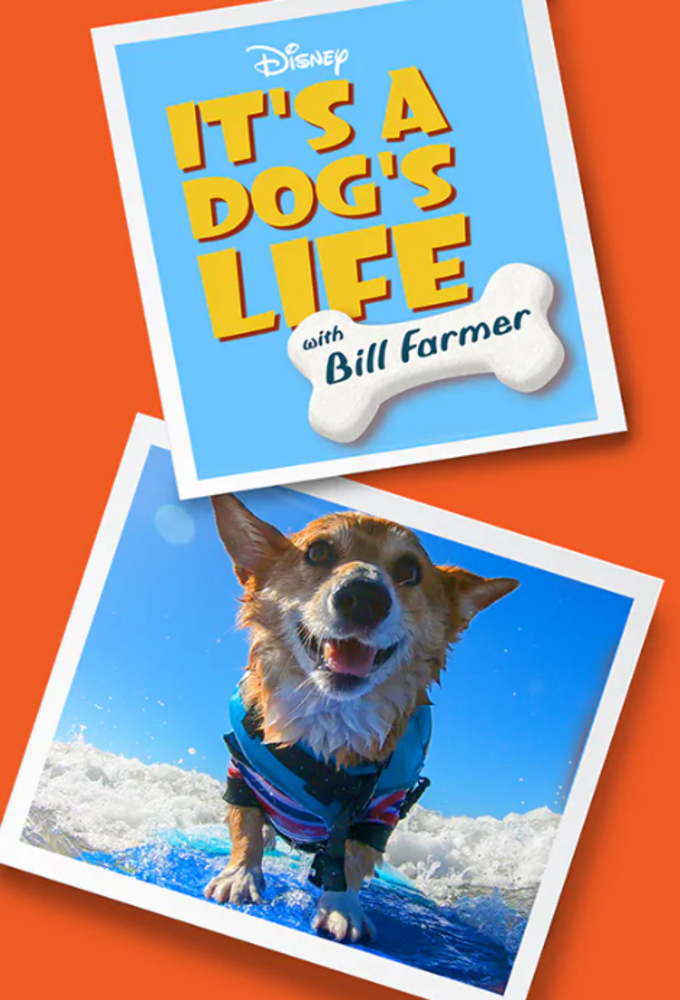 It's a Dog's Life With Bill Farmer series poster