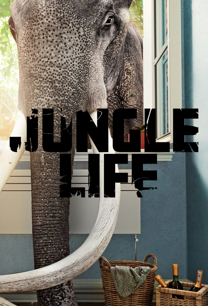 Welcome to the Jungle Image