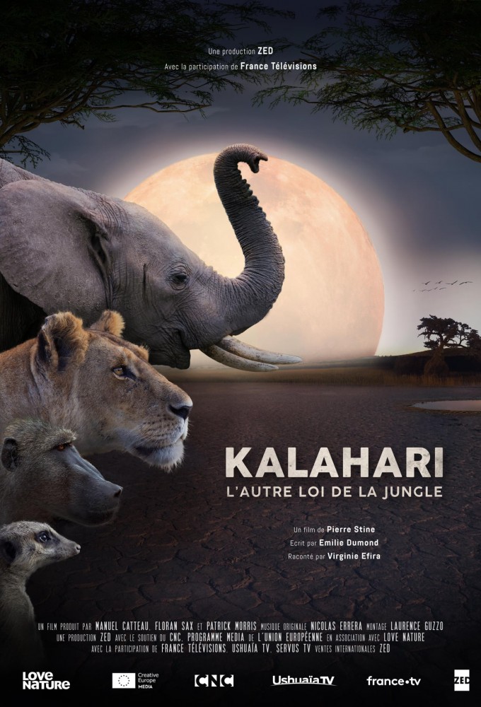 Kalahari, The Other Law of The Jungle series poster