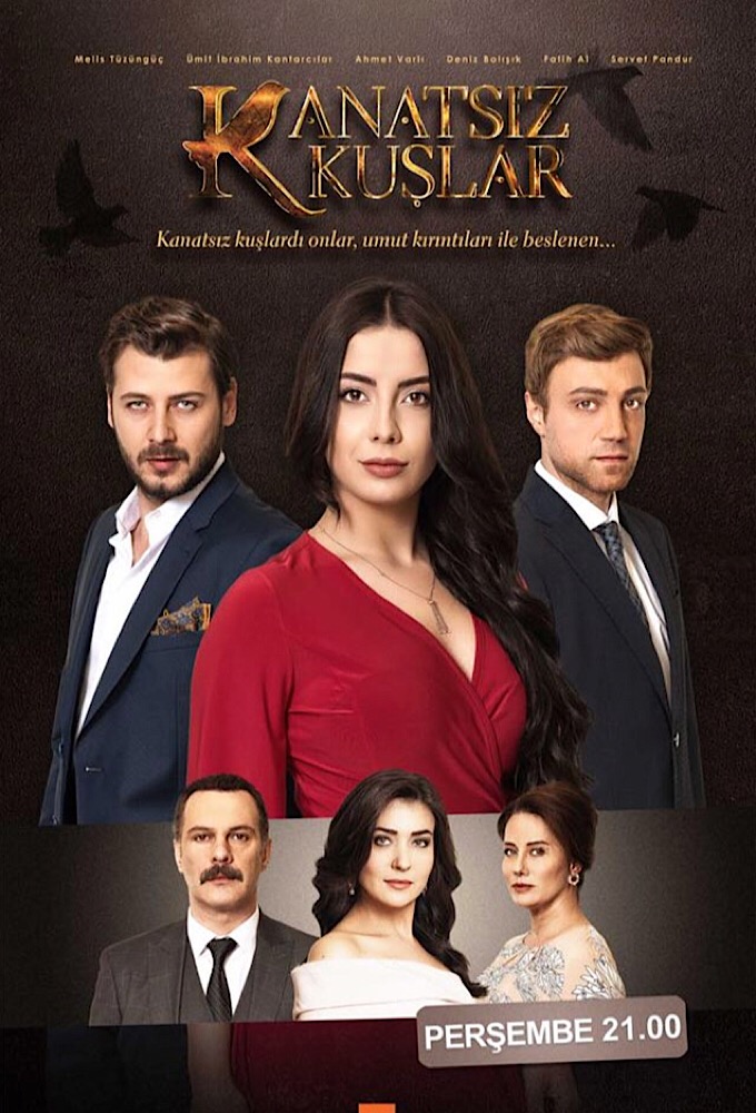 Kanatsiz Kuslar series poster