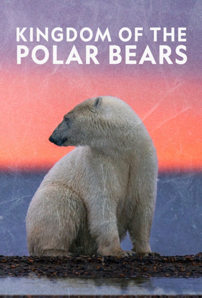Kingdom of the Polar Bears series poster