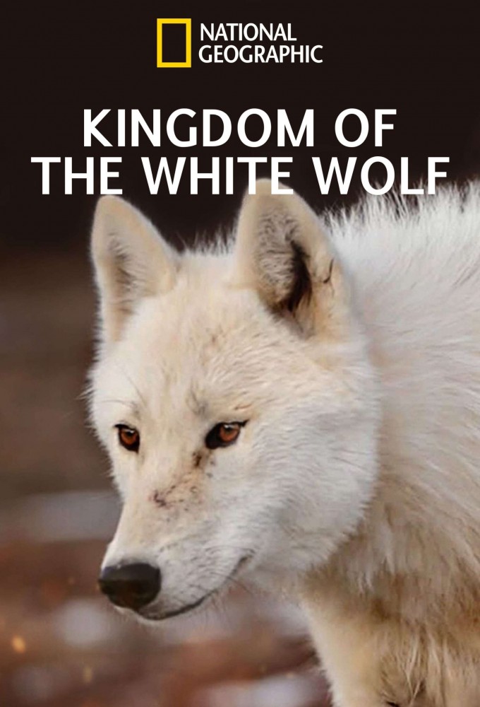 Kingdom of the White Wolf series poster