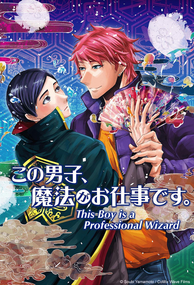 This Boy Is a Professional Wizard Image