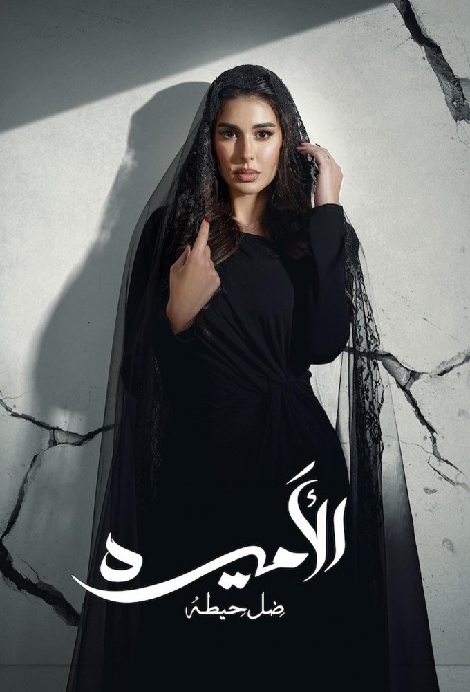 Princess Shadow of the Wall Image