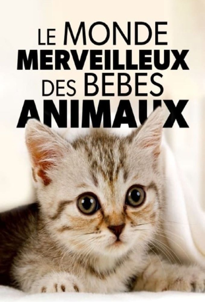 Le monde merveilleux des bébés animaux series poster