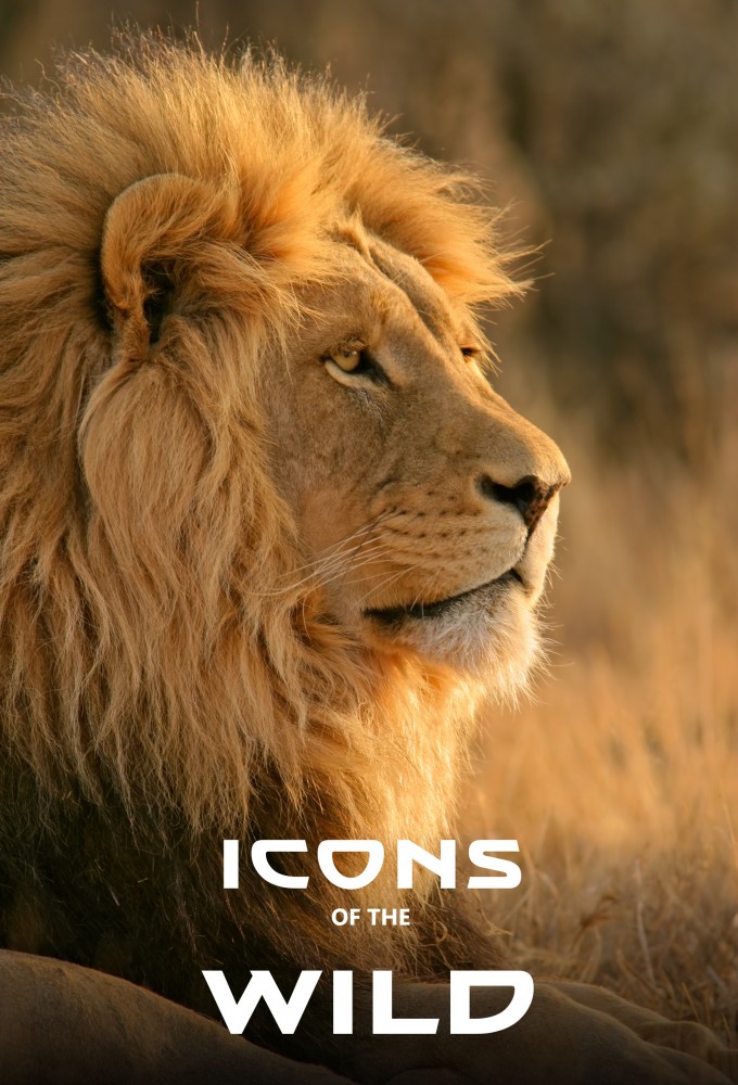 Icons of the wild series poster