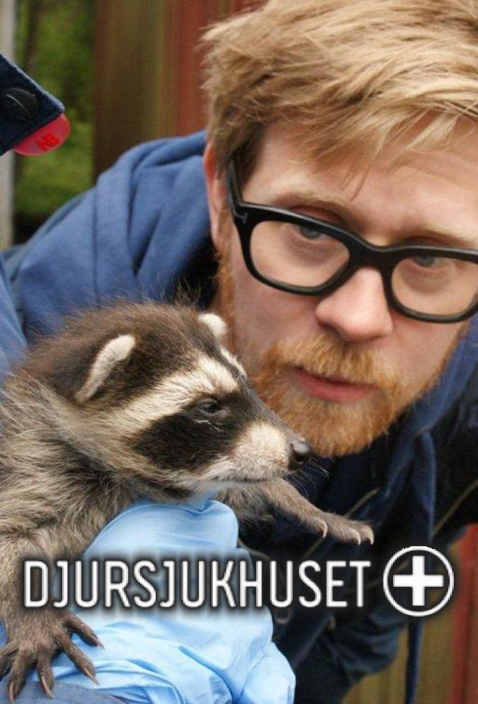 The Little Animal hospital Image