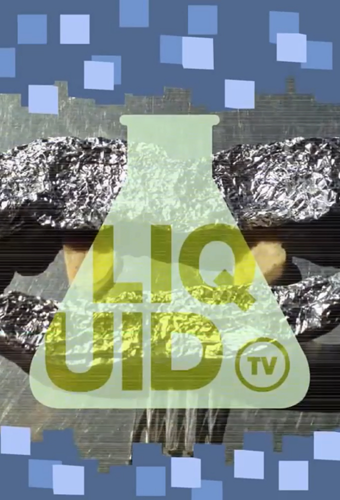 Liquid Television 2013 Image