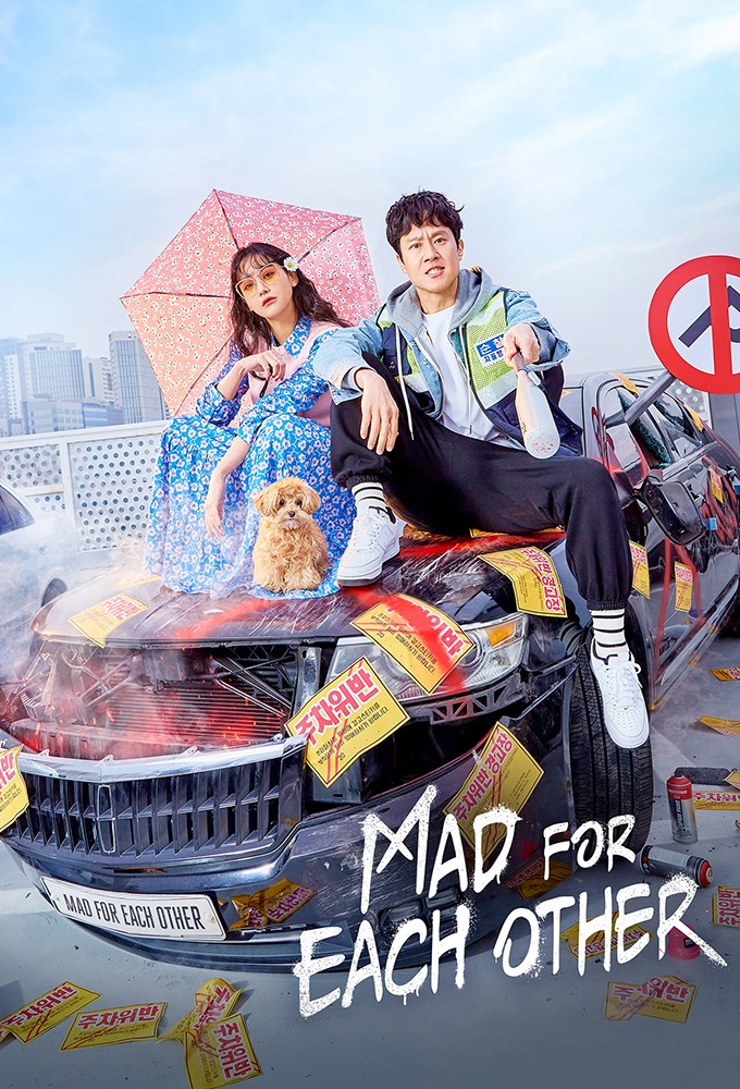 Mad for Each Other series poster