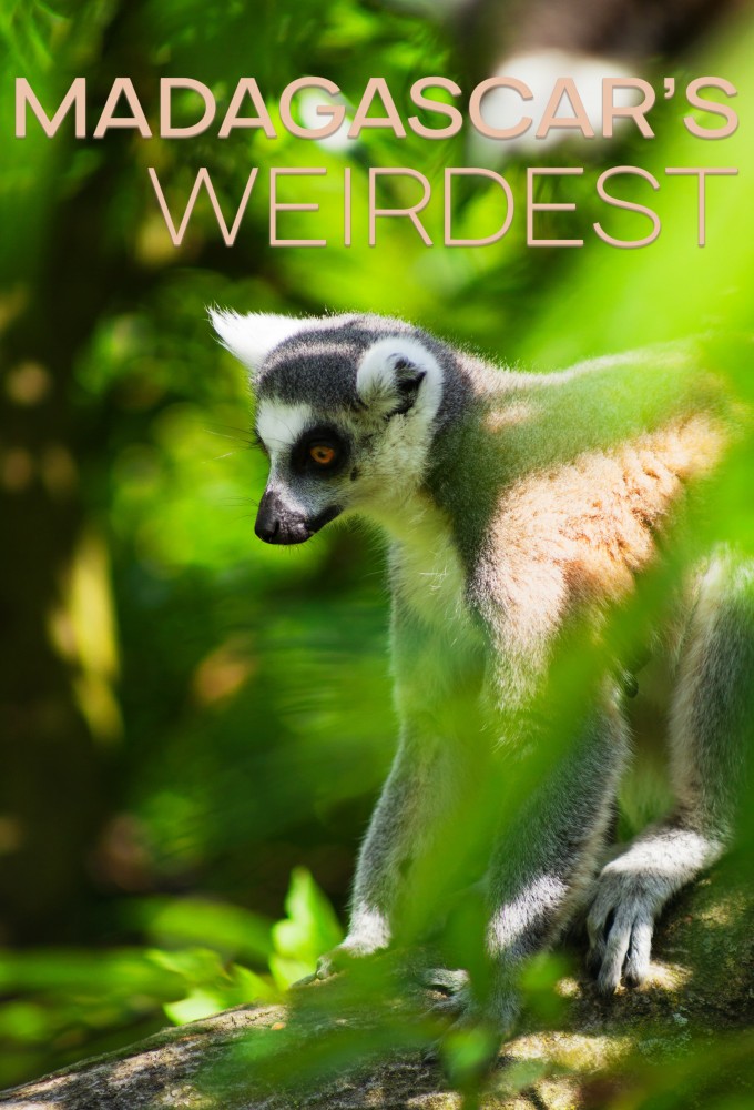 Madagascar Weirdest series poster