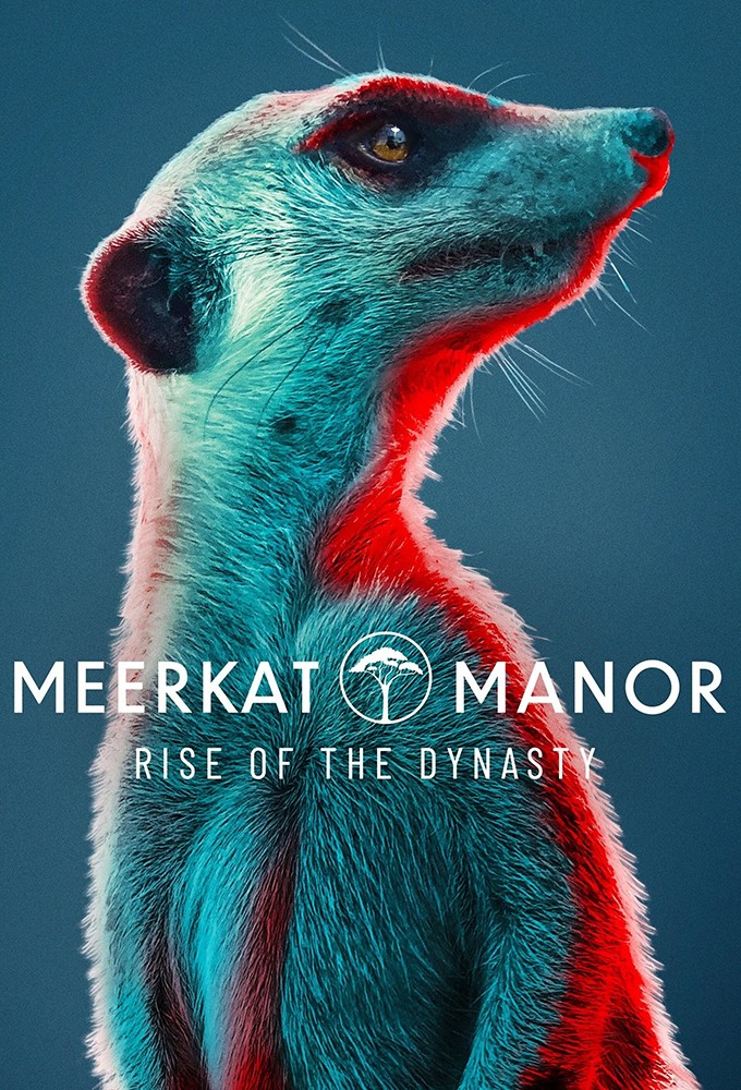 Meerkat Manor: Rise of the Dynasty series poster