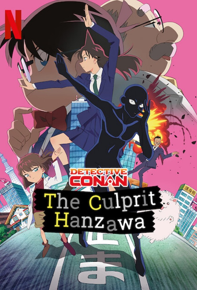 Detective Conan: The Culprit Hanzawa Image