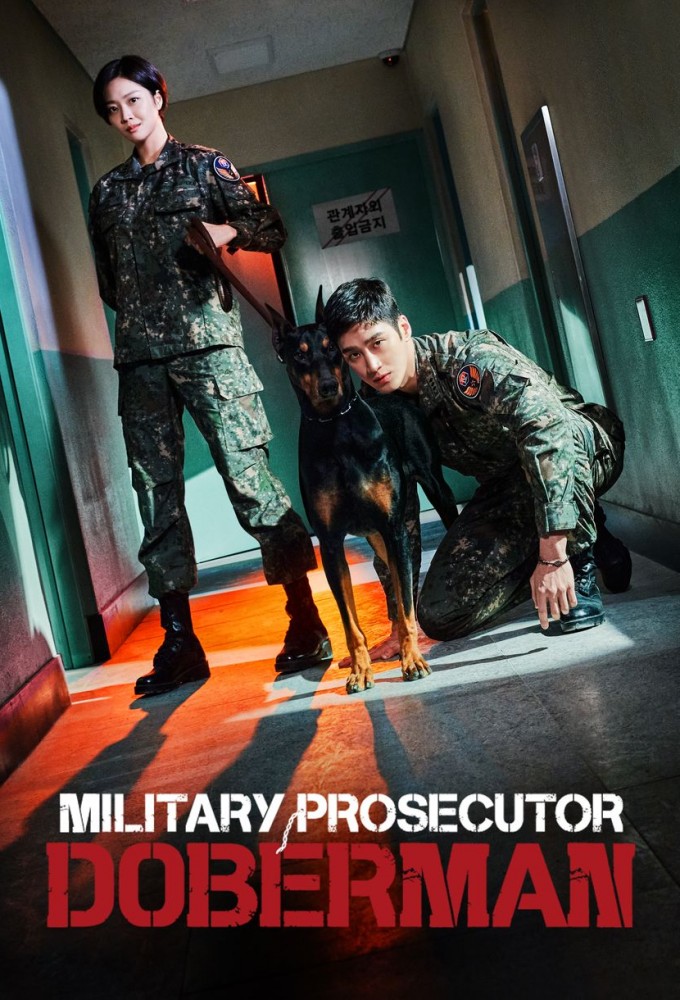 Military Prosecutor Doberman series poster