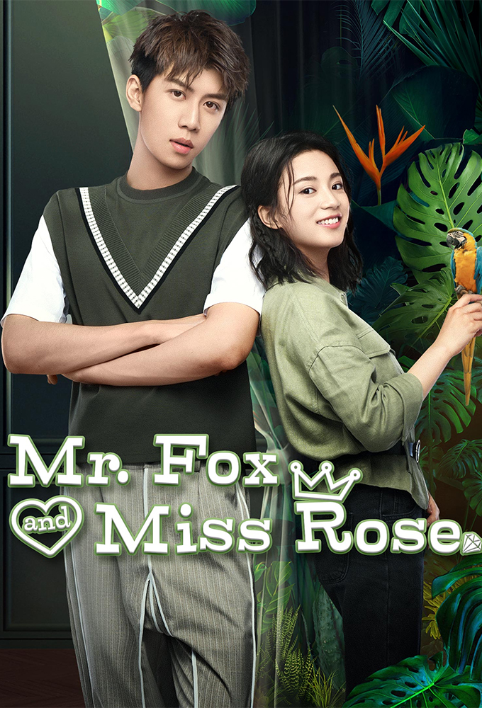 Mr. Fox and Miss Rose series poster