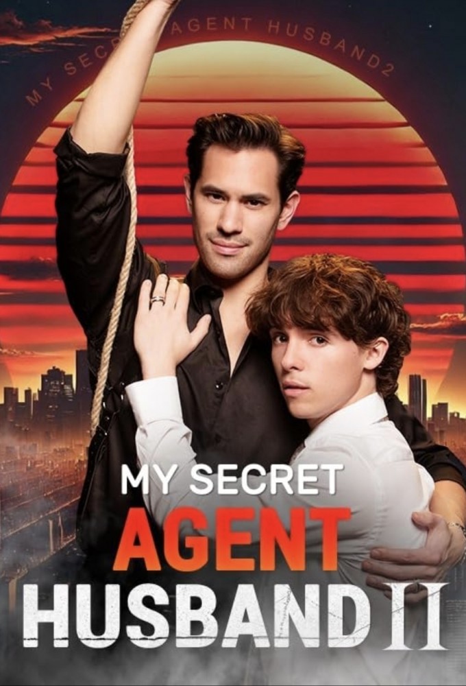 My Secret Agent Husband series poster