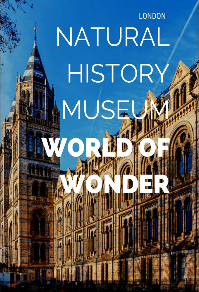 Natural History Museum: World of Wonder Image