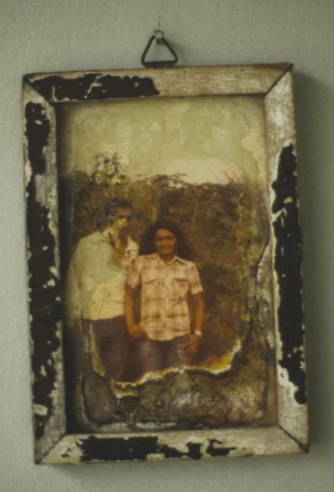 Nenê da Brasilândia series poster