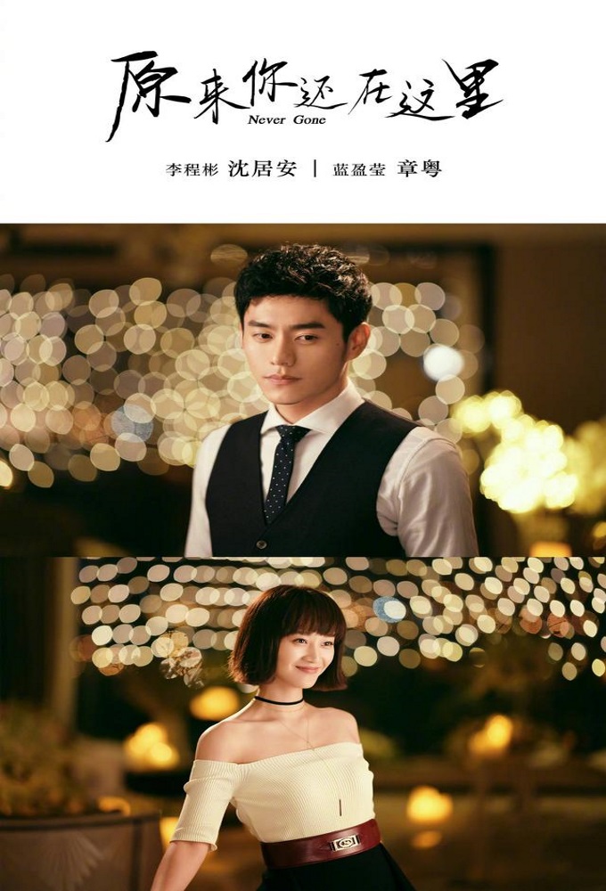 Never Gone series poster