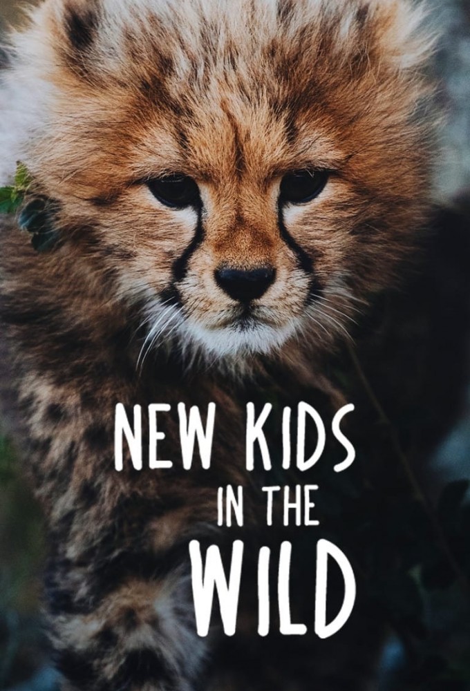 New Kids in the Wild series poster