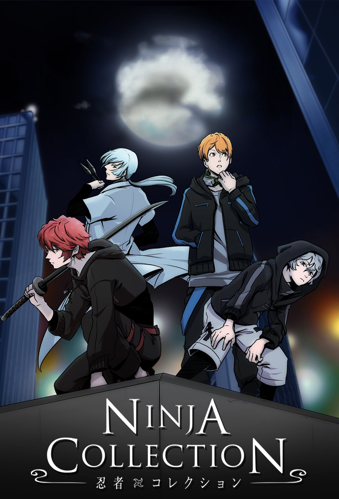 Ninja Collection series poster