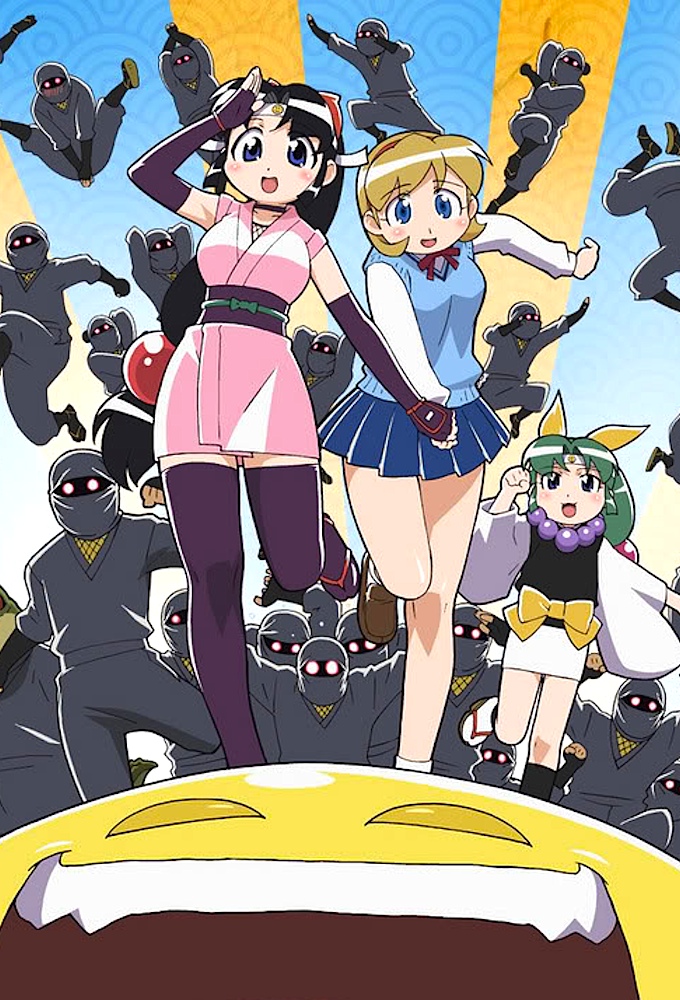 Ninja Nonsense series poster