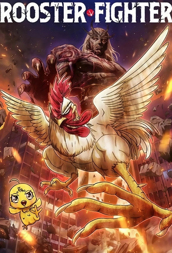 Rooster Fighter Image