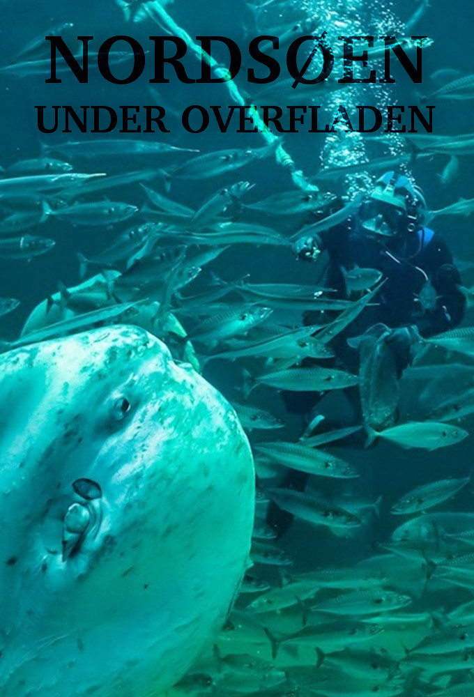 Nordsøen under overfladen Image