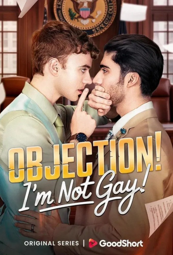 Objection! I'm Not Gay! Image