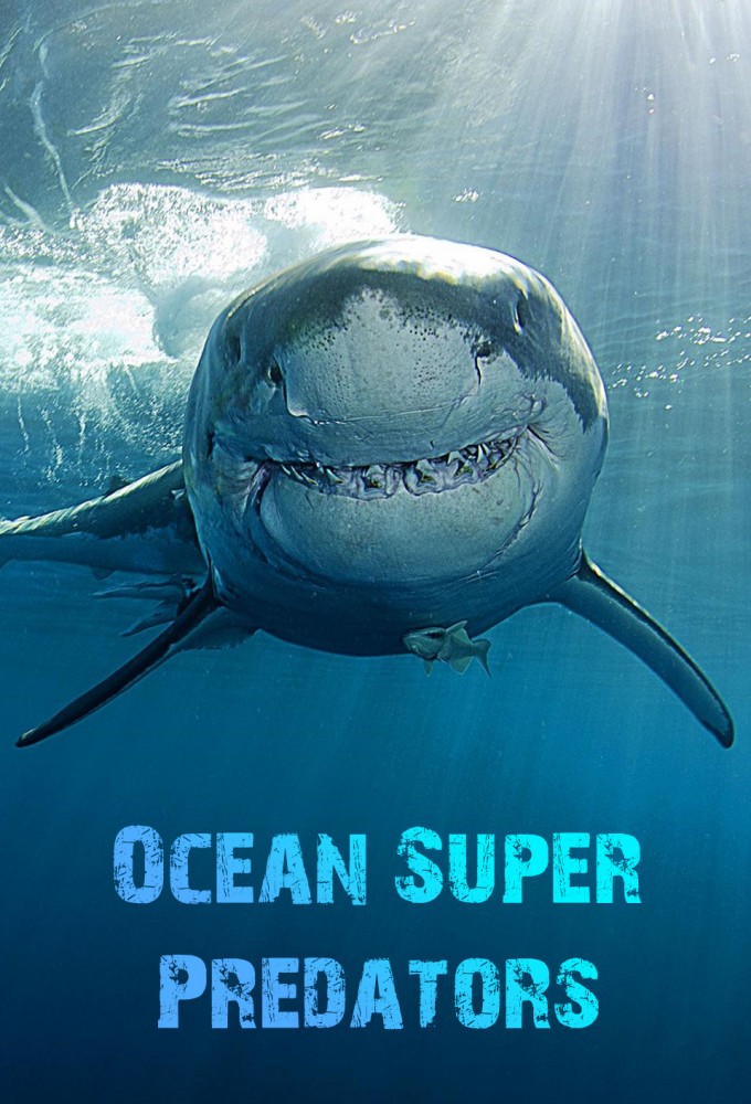 Ocean Super Predators series poster