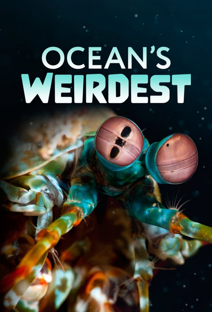 Ocean's Weirdest Image