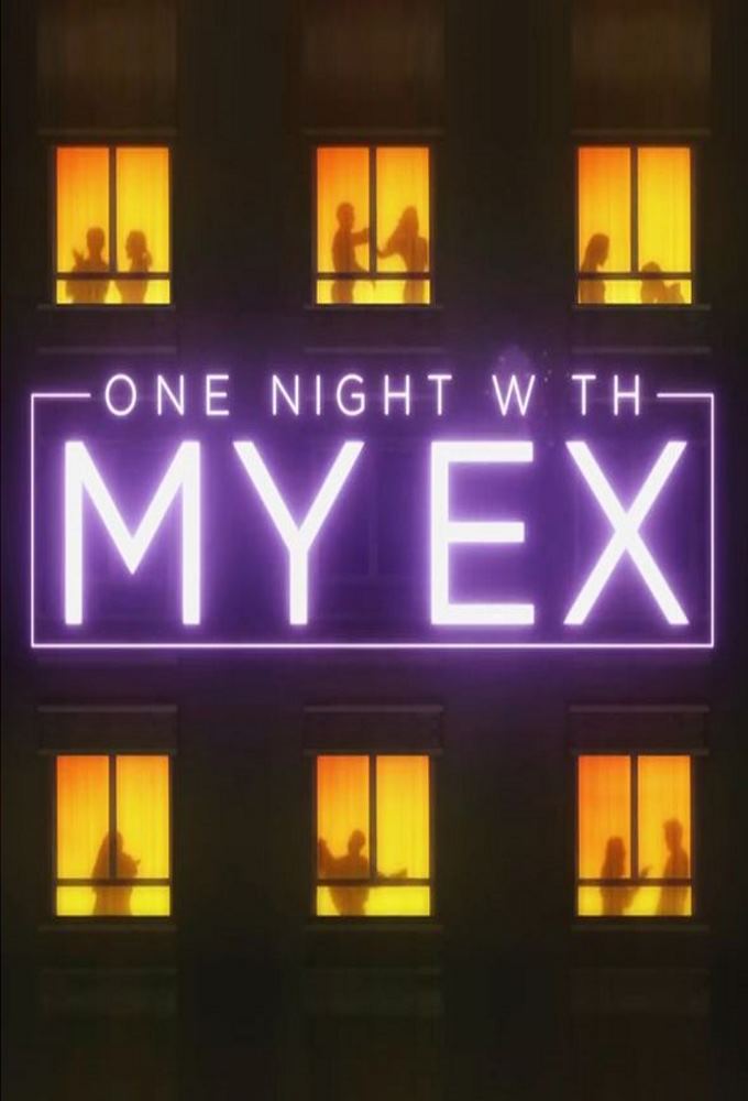 One Night with My Ex Image
