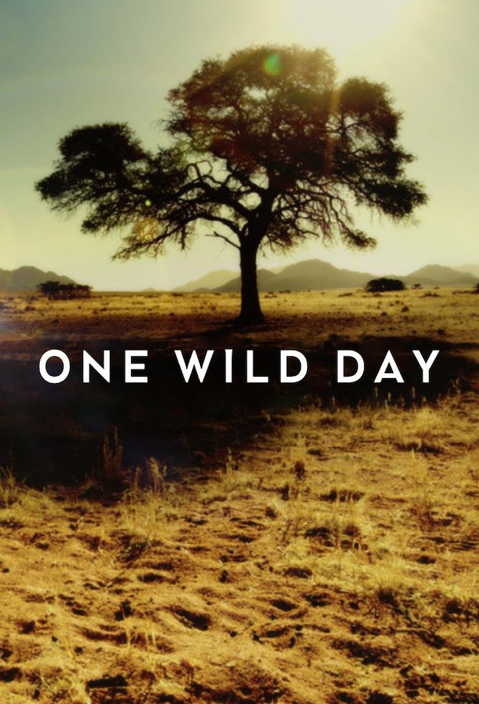 One Wild Day series poster