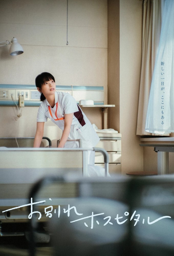 The Parting Hospital Image