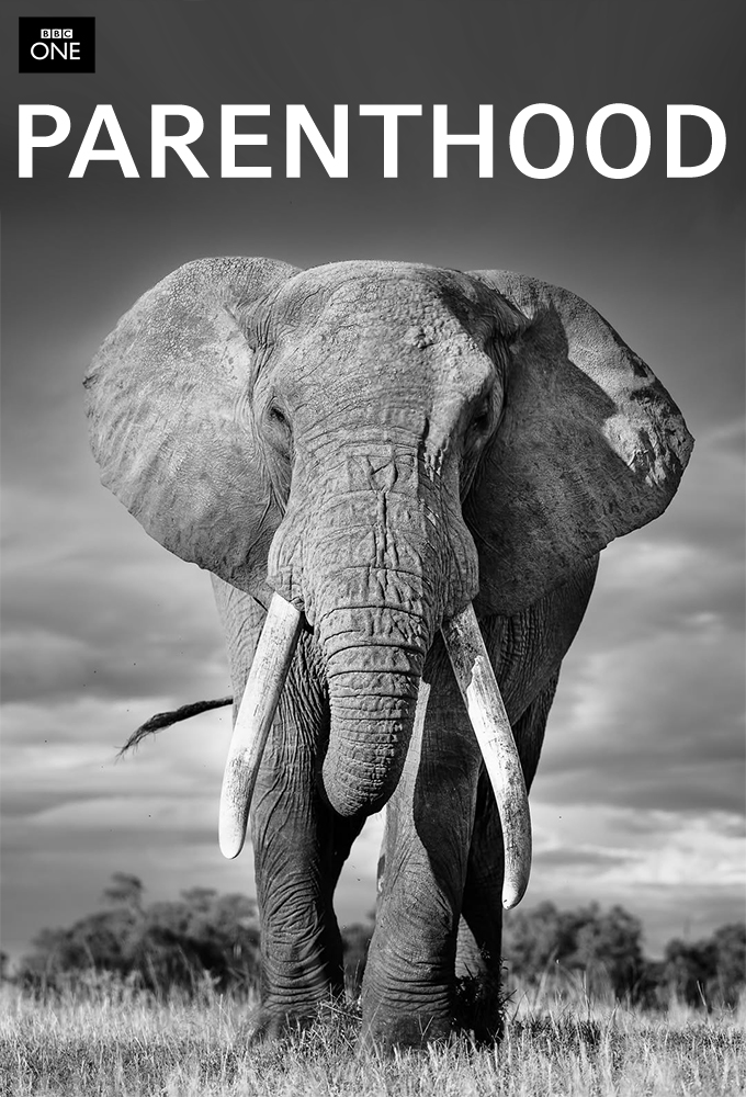 Parenthood (2025) Image